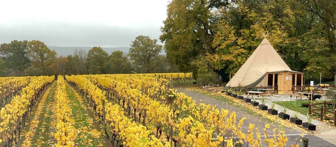 Ridgeview VIneyard TIpi Ridgeview VIneyard TIpi